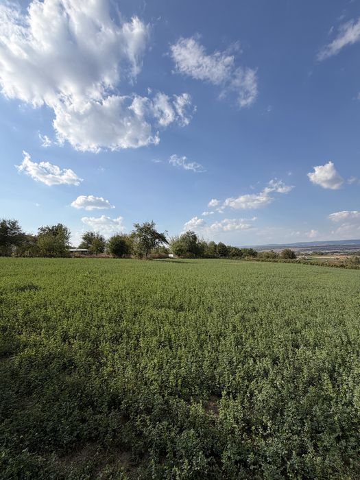 Продава се Къща в с. Маломир, Област Шумен - 4000 кв.м за 10 €/кв.м - Снимка #2