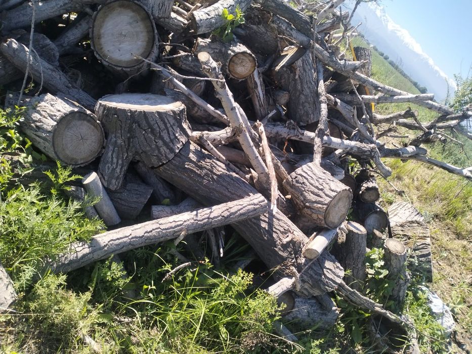 Продам драва капагач сухие