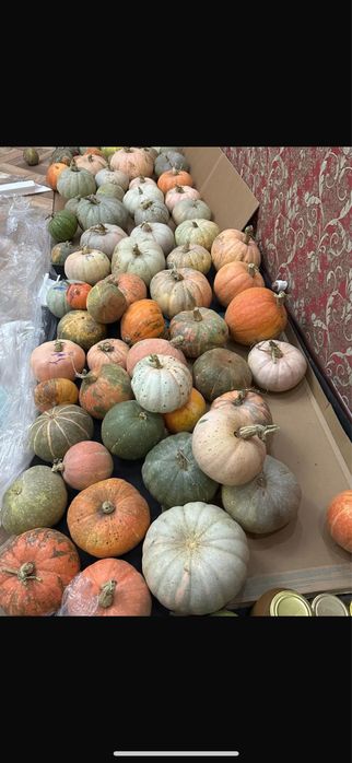 Продам тыкву домашнюю