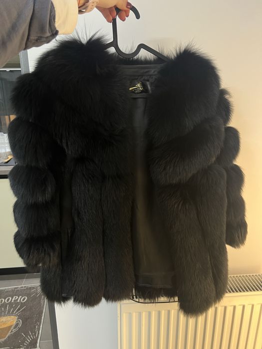 Haina blana vulpe polara