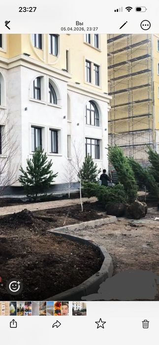 Озеленение посадка деревьев