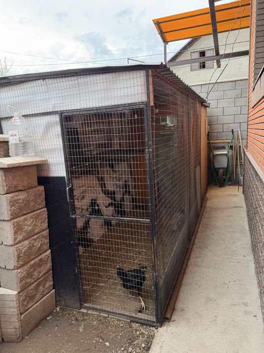 Тауық қора сатылады / Продается курятник.