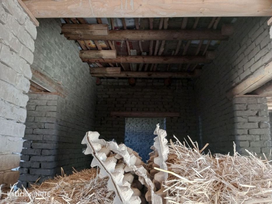 Jay satiladi Taxiyatas