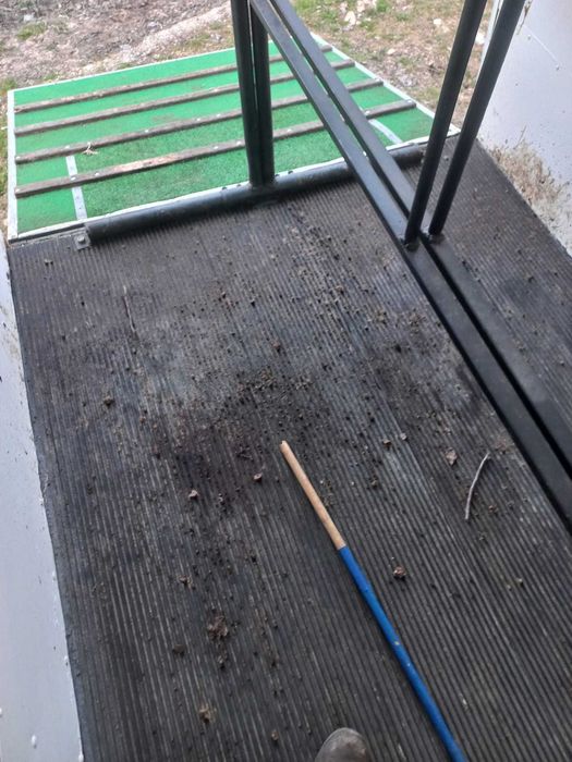 Remorca de cai transport