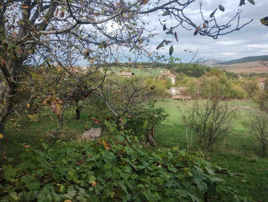 Продава се Парцел в Перник, Църква - 943 кв.м за 35 €/кв.м - Снимка #3