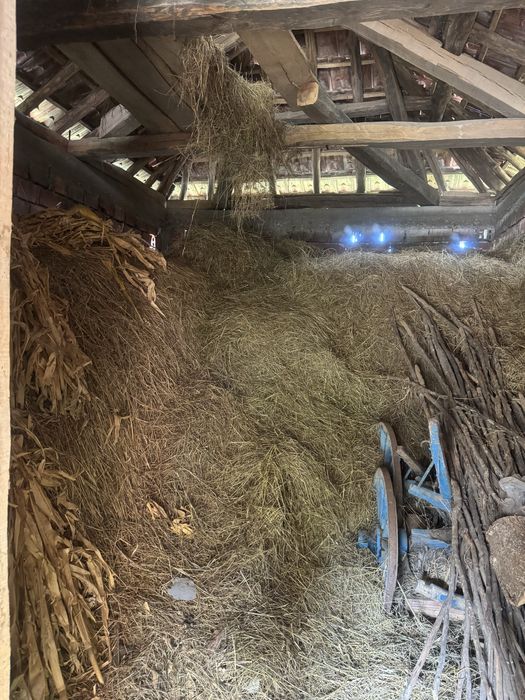 Къща до гората с. Дъбрава