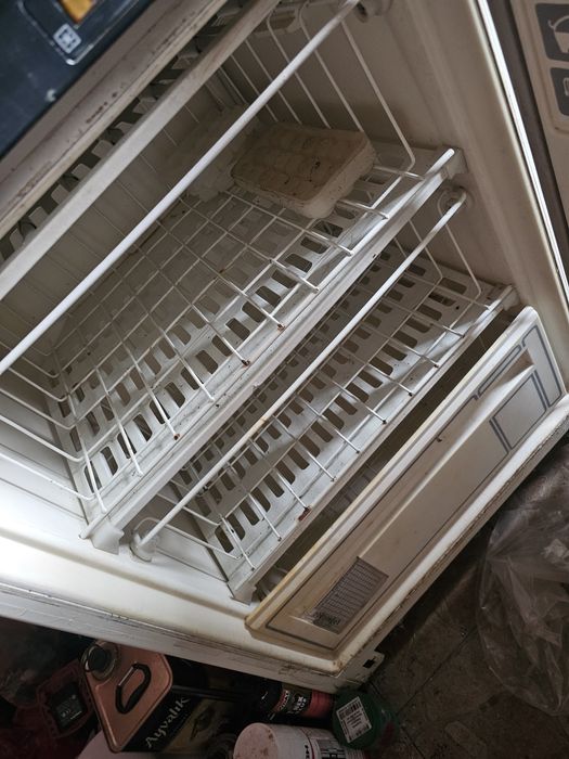 Фризер Руски 80см.