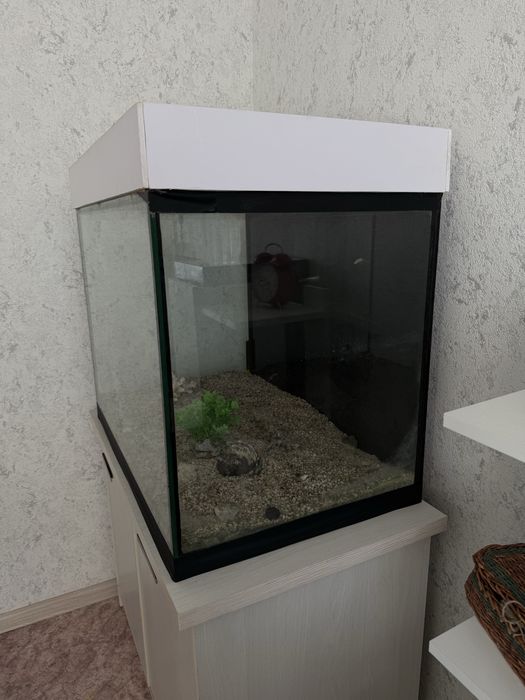 Продам Аквариум