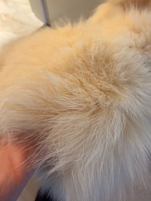 Палто естествен косъм лисица