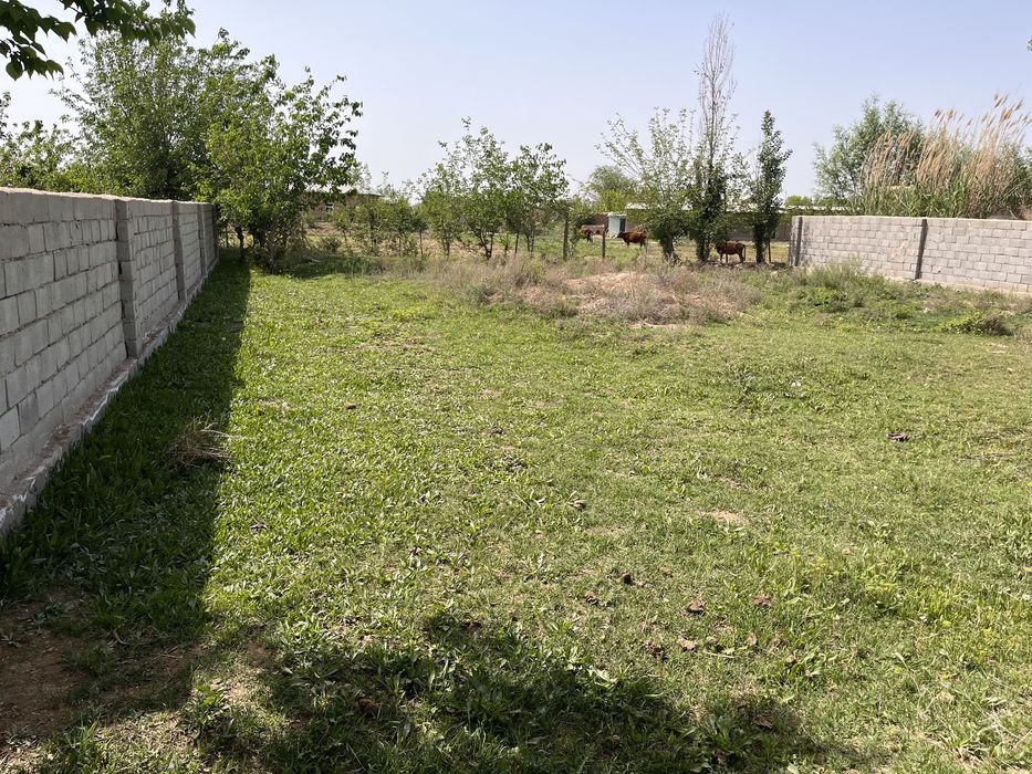 Kasbi tumanida yer sotiladi