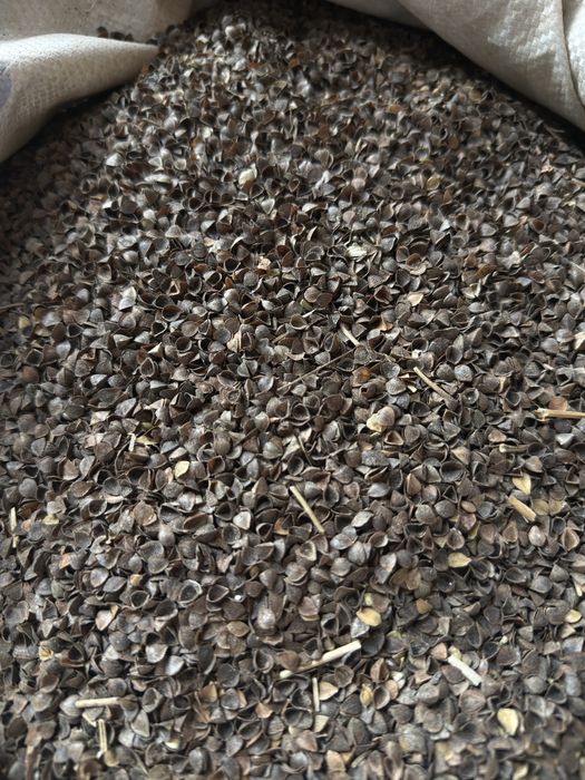 Отход гречки в мешках