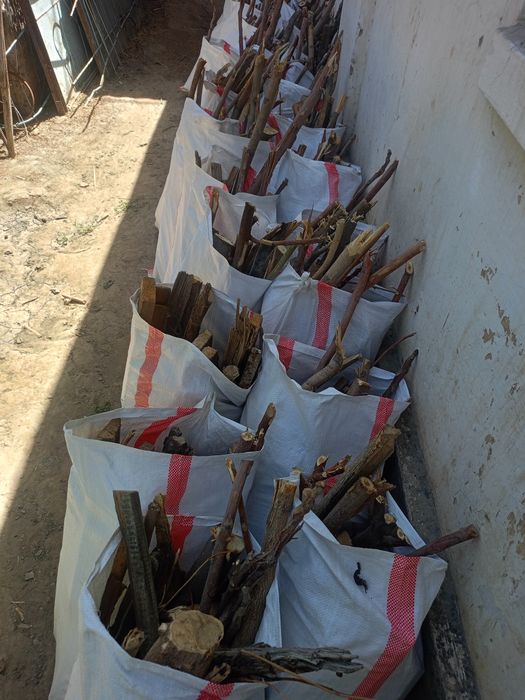 Дрова сухие,Отын кургак