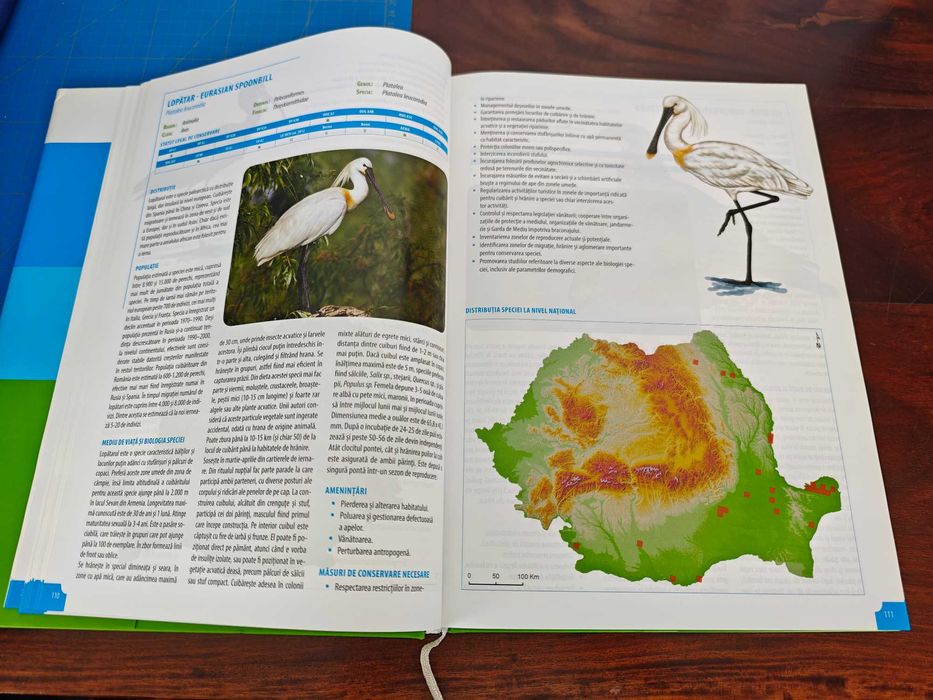 Atlas al speciilor de pasari de interes comunitar din Romania