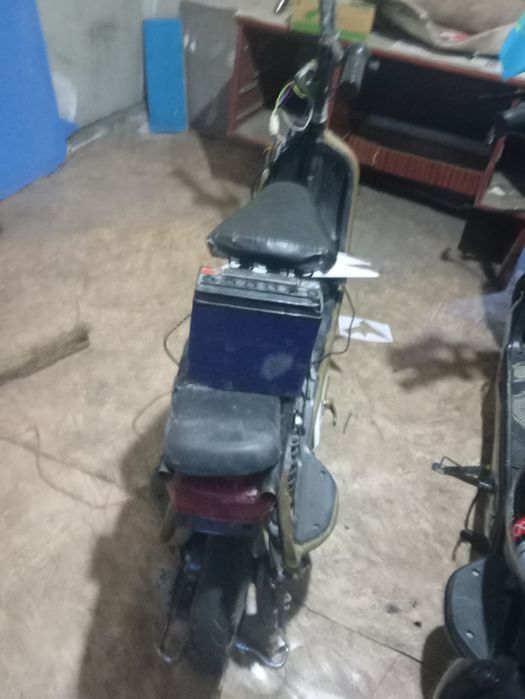 Электыра велик .