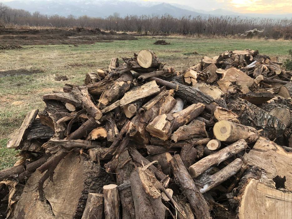 Продам дрова пиленные