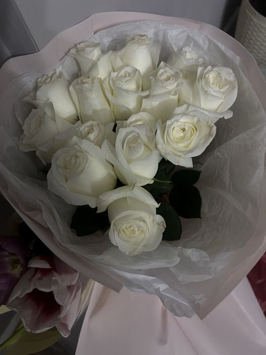 Алматы!!!Белые розы 15 шт