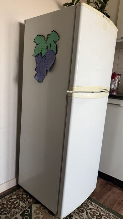 Холодилник lg electrocool