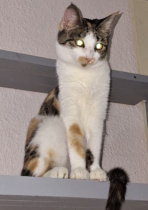 Подари семью малышке из приюта