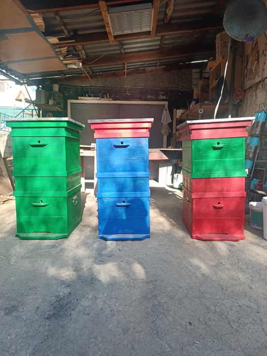 Улья дадан 10 рамочные