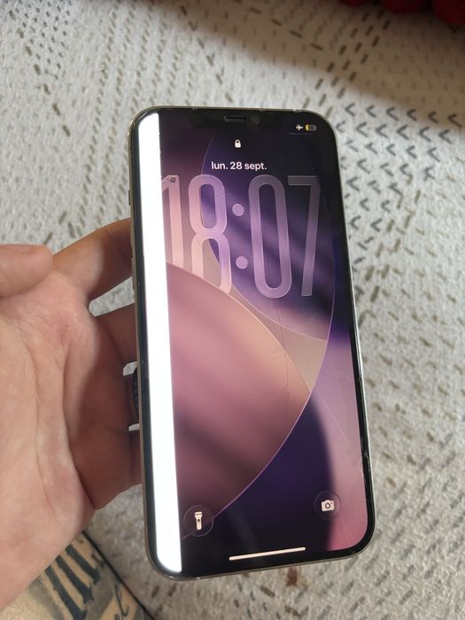 iPhone 12 pro max