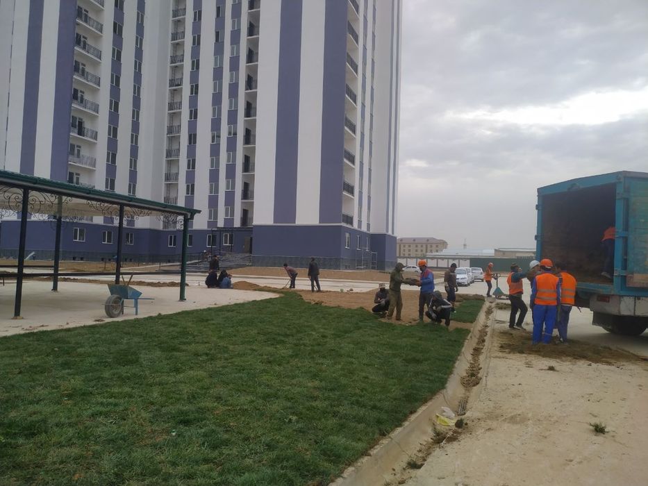 Ландшафтная компания ENTER GREEN LIFE