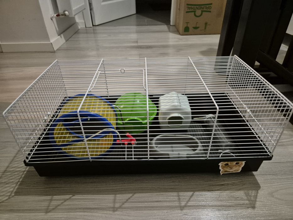 Vand cusca animalute de companie