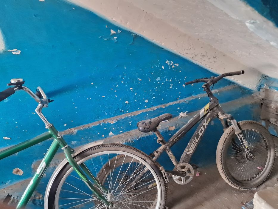 Велик велик алың