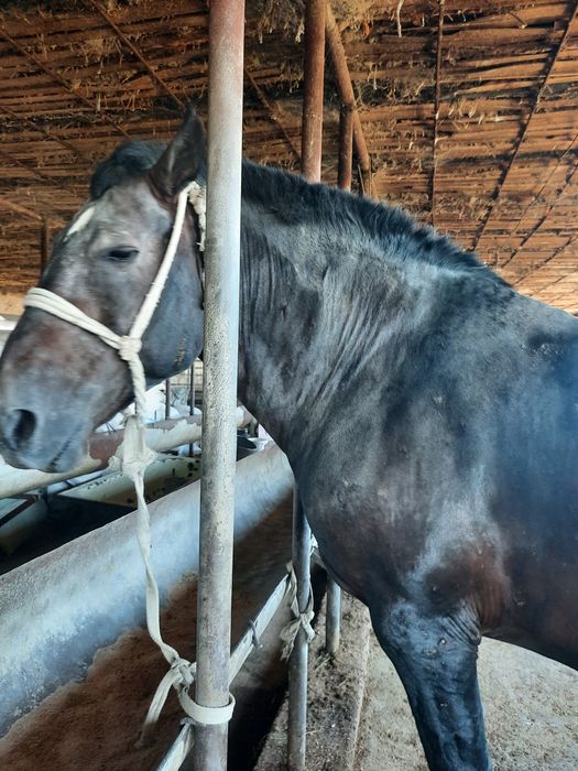 Саусағы бар лесбиянки