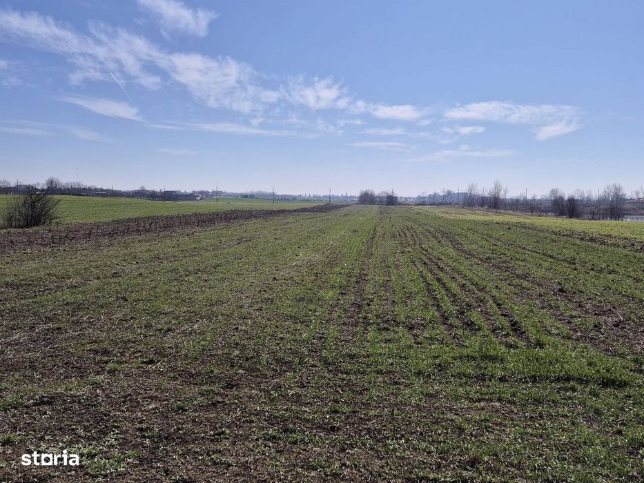 Trestieni - Ulmi, vanzare teren 1.663mp, intravilan