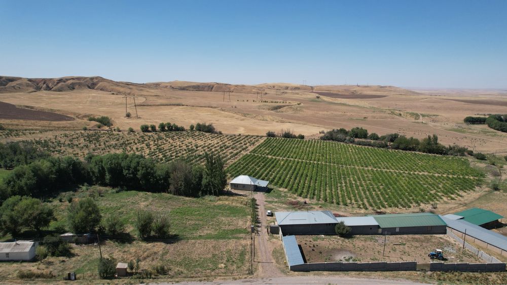 Мал қора + алма бағы арендаға беріледі