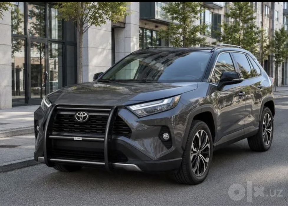 Защита бампера на Toyota Land Cruiser 300 Rav4
