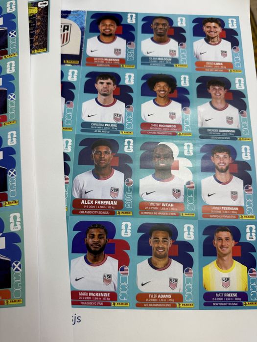 World cup 2026 stikere panini