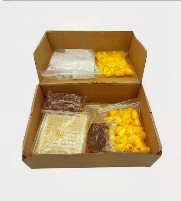 Апарат за пчелни майки