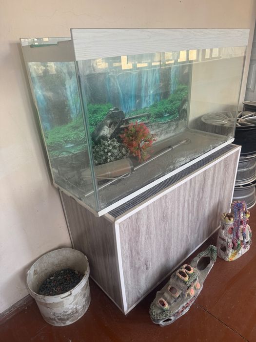 Akvarium yaxshi xolatda