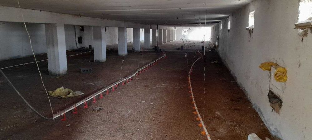 Parrandachilik fermasi