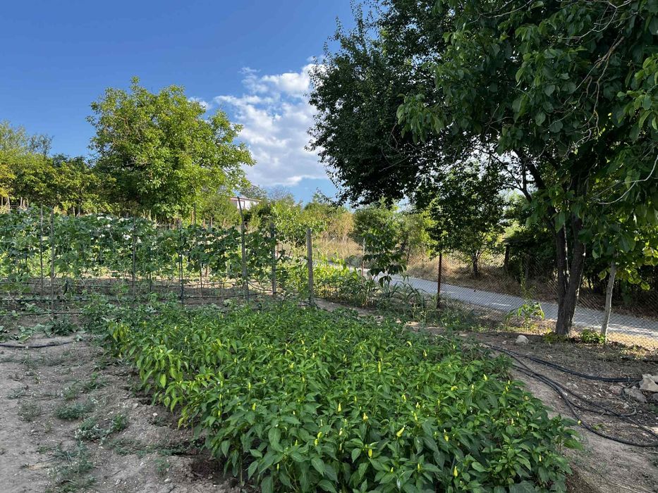 Продава се Парцел в с. Одринци, Област Добрич - 1240 кв.м за 9 €/кв.м - Снимка #8