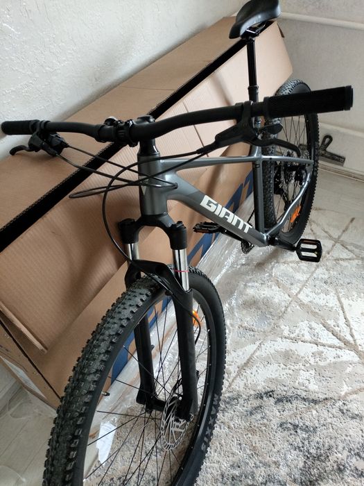 Gaint talon 1 2025
