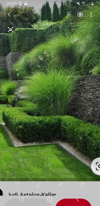 Spații verzi cu plante si gazon