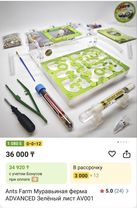 Муравьиная ферма