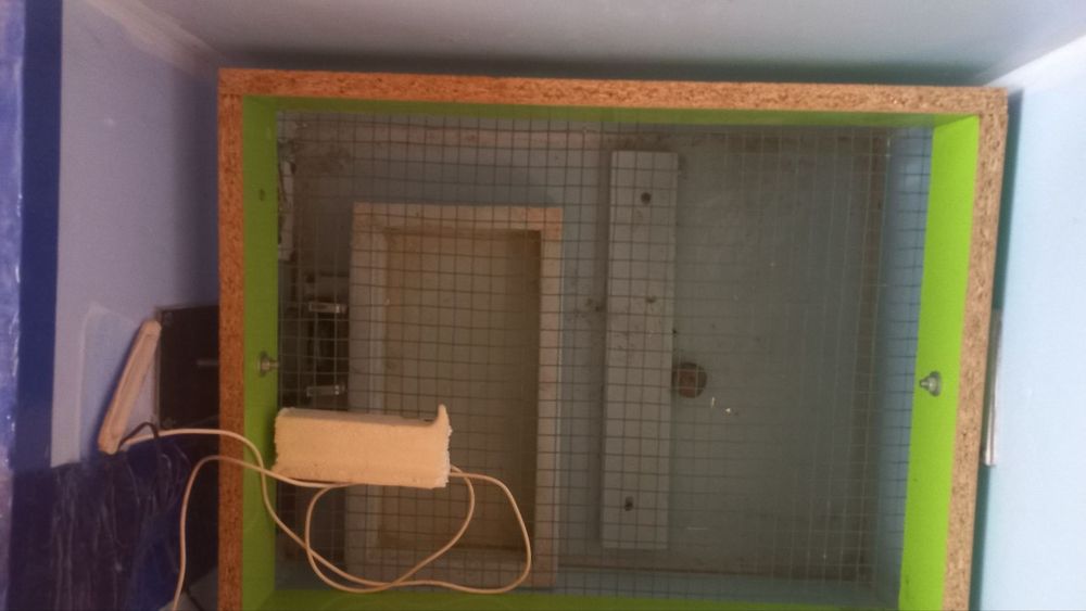 Inkubator sotiladi 100 talik bir maratta ishlatilgan