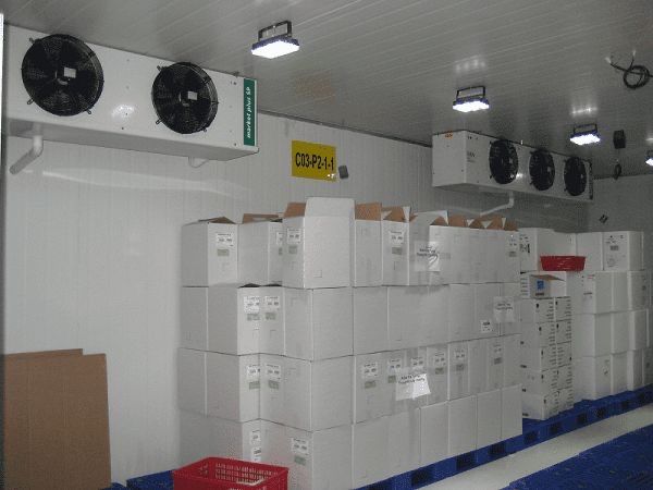 Холодильные камеры сборка лучших мастеров