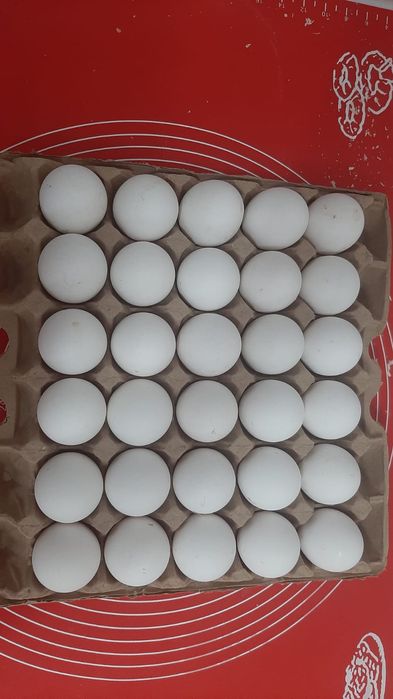 Маринад, шашлык, гриль