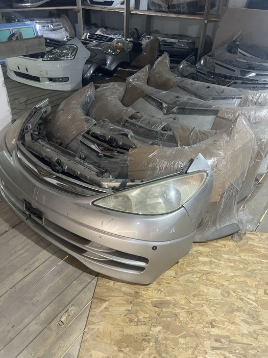 Ноускат тойота естима