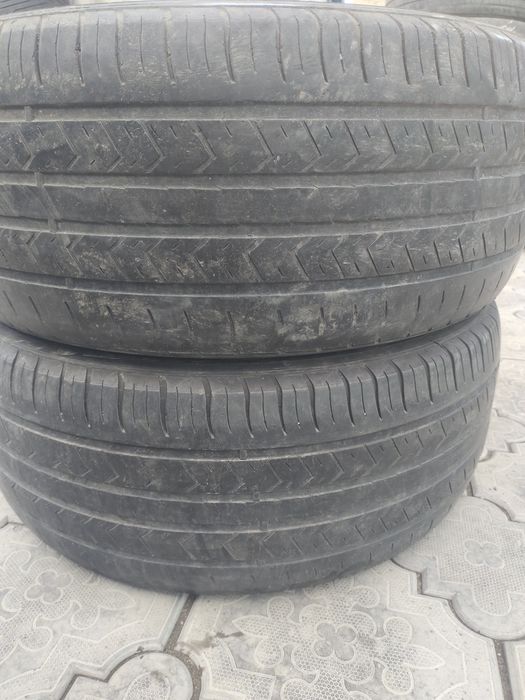255 55 р18 летние