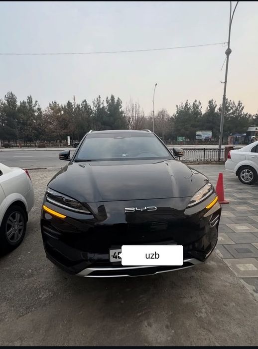 Byd Chempion toʻliq elektr 605