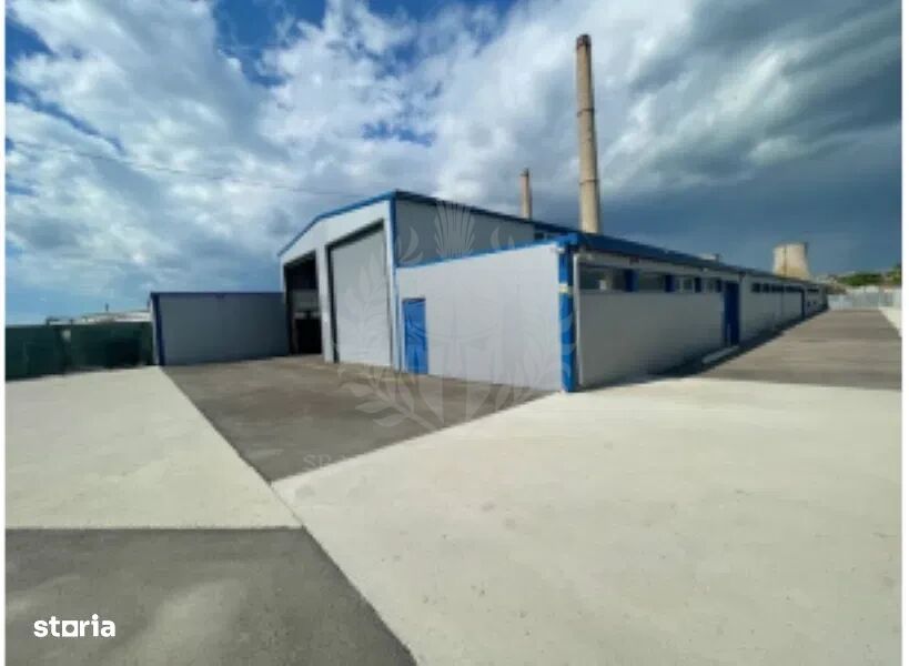 Hala 1800 Mp//Platforma Betonata 5200 Mp//Zona Brazi