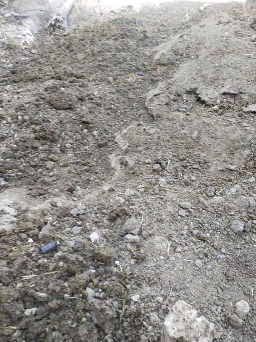 Biyo goʻmis agarot uchun tekinga qurgan goʻng bor