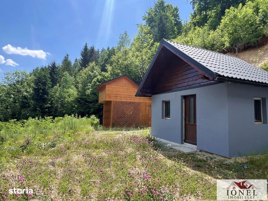 Casa in Muntii Apuseni - Horea