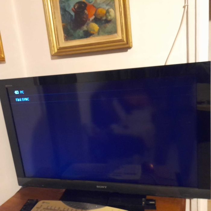 Televizor Sony Bravia, diagonala 102 cm