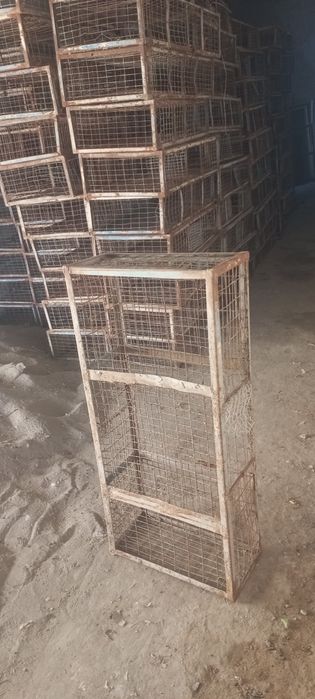 Tavuq tashish uchun setka holati yaxshi